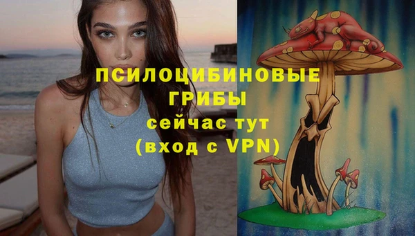 мдпв Навашино