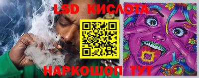 ПСИЛОЦИБИНОВЫЕ ГРИБЫ Аргун