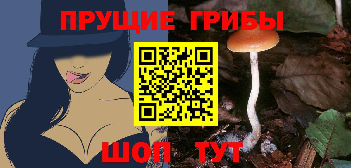 сколько стоит  Карачаевск  Псилоцибиновые грибы Magic Shrooms  Галлюциногенные грибы Cubensis 