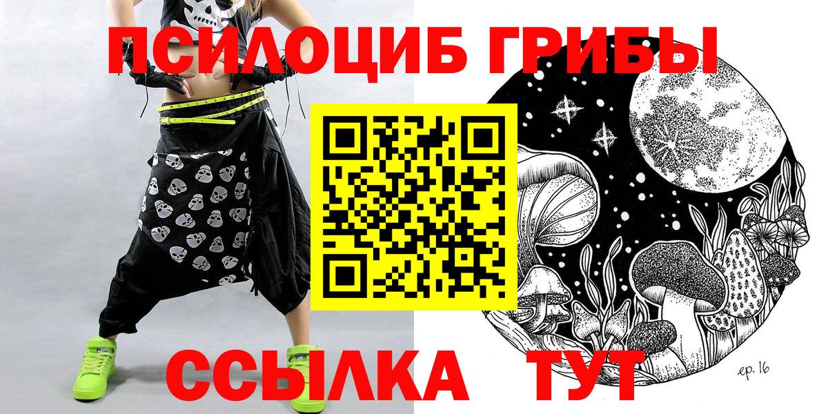 Карачаевск  где купить наркоту  Вход с VPN  Галлюциногенные грибы мицелий 