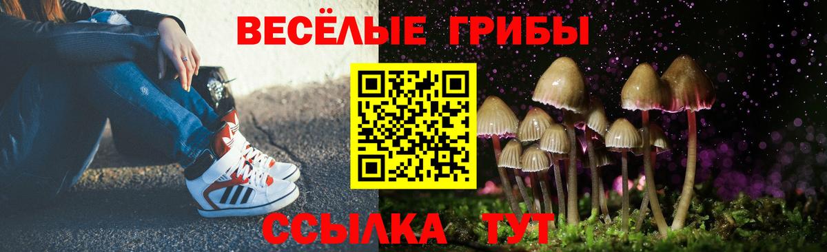 Галлюциногенные грибы Magic Shrooms Карачаевск