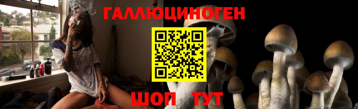 Галлюциногенные грибы MAGIC MUSHROOMS Карачаевск