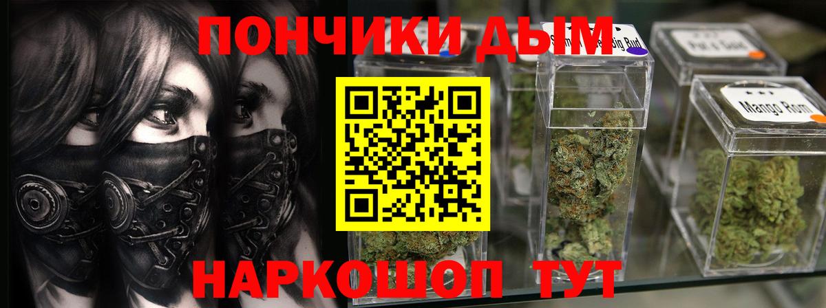 Каннабис сатива Карачаевск